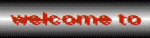 ansof.uiwap.com